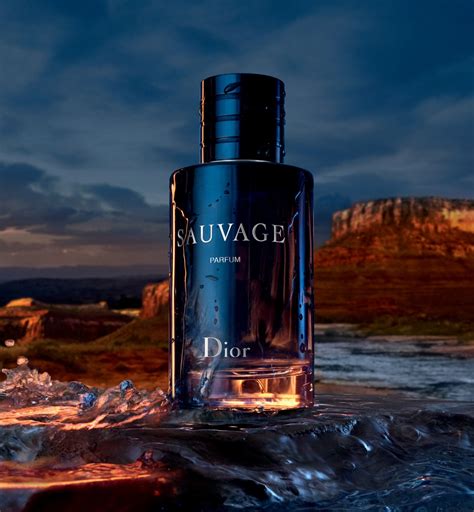 dior sauvage hoodie|sauvage by dior cologne.